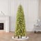 10ft. Pre-Lit Fraser Fir Artificial Christmas Tree, Clear Lights